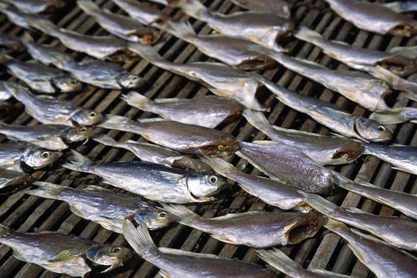 画家,码头,竖图,旅游,香港,亚洲,艺术,风景,社区,艺术家,摄影,灵感,运河,创造力,肖像,作画,大屿山,美术工艺,彩图,旅行,传统文化