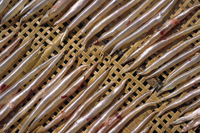 无人,横图,抽象,渔业,香港,中国,亚洲,地形,食品,摄影,港,中国文化,东亚,肌理,香港岛,香港特别行政区,港澳台,中华人民共和国,港岛,烘干,海产,彩图,旅行,长洲,香港长洲