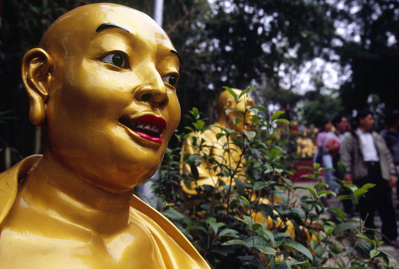 横图,香港,亚洲,地形,祝福,佛,黄金,地标建筑,祈祷,思考,摄影,宗教,佛教,神殿,中国文化,拜访,新界,朝圣节,灵性,沙田,跪着,彩图,旅行,万佛寺,朝拜者