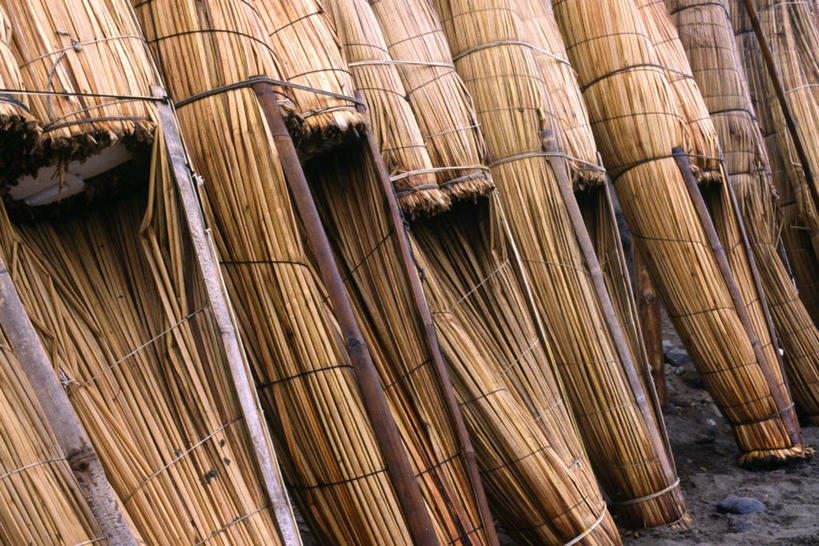 成年人,一个人,竖图,室外,渔业,船,芦苇,秘鲁,仅一个男性,海岸线,稻草,北,社区,南美,摄影,横梁,肖像,横杆,美术工艺,男人,海滩,彩图,钓鱼,旅行,传统文化