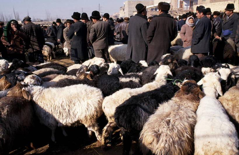 无人,横图,建筑,亚洲,地形,门口,佛塔,地标建筑,摄影,佛教,中亚,中国文化,丝绸之路,塔克拉玛干沙漠,新疆维吾尔自治区,彩图