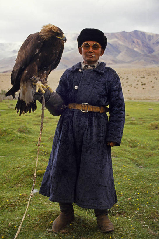 成年人,一个人,吸烟,竖图,骄傲,鹰,帽子,蒙古,亚洲,仅一个男性,捕食,重量,摄影,金雕,男人,彩图,传统服装