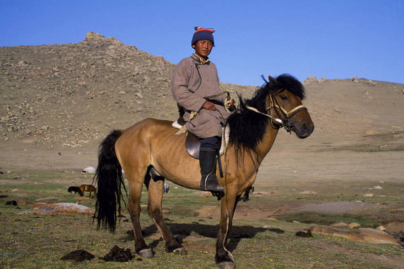 成年人,一个人,横图,马,蒙古,亚洲,仅一个男性,骑马,摄影,小马,男人,彩图,传统文化,游牧民族
