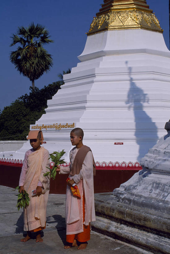 无人,竖图,旅游,山,山脉,城市,建筑,棕榈树,阿曼,城堡,地形,城镇,塔,方向,历史,树,摄影,宗教,保护,控制,圆顶建筑,要塞,清真寺,波斯湾,奈兹瓦,海枣树,策略,能力,彩图,旅行,传统文化