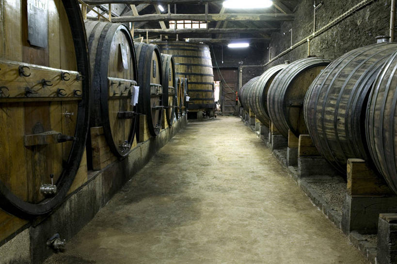 葡萄酒,无人,农场,横图,室外,葡萄,葡萄牙,欧洲,木制,酒桶,山谷,葡萄园,藤蔓,摄影,收获,种植园,伊比利亚半岛,藤蔓植物,化学反应,彩图,传统文化,斗罗河