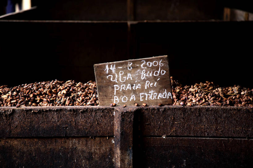 无人,横图,农业,农作物,植物,非洲,木制,标志,可可,盒子,巧克力,摄影,食品加工厂,可可豆,板条箱,阿非利加洲,圣普,普林西比,彩图