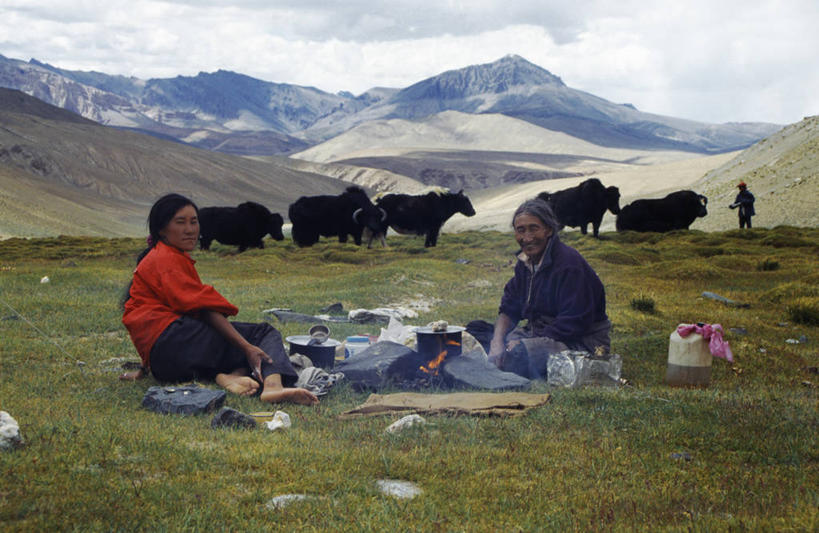 无人,竖图,风,旗帜,印度,经幡,祈祷,摄影,宗教,佛教,彩图