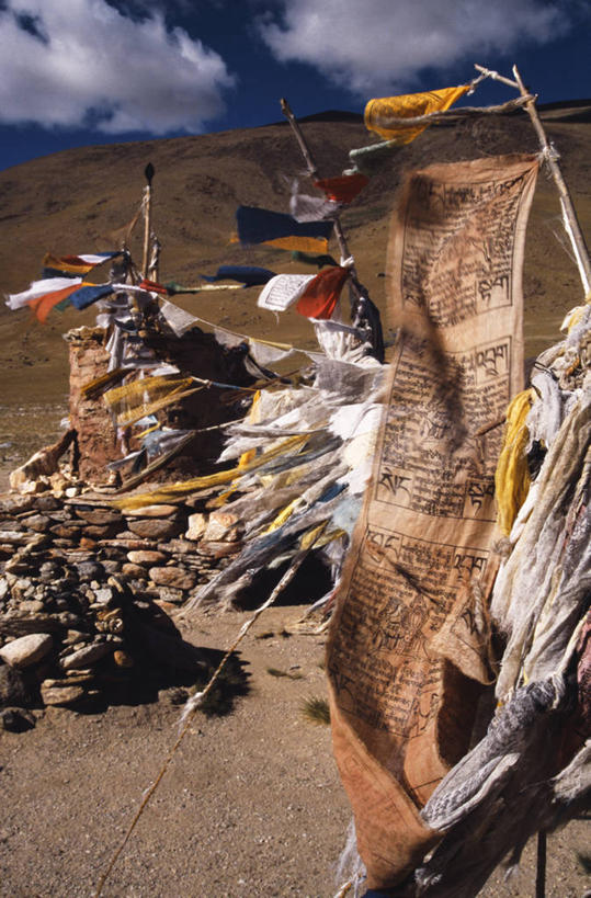 无人,竖图,风,旗帜,印度,经幡,祈祷,摄影,宗教,佛教,彩图