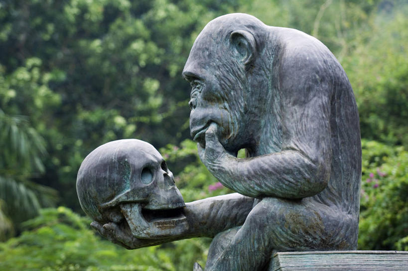颅骨,无人,公园,横图,室外,白天,旅游,度假,亚洲,雕像,古典,动物,思考,摄影,幽默,大猩猩,灵长目,海南岛,彩图,旅行