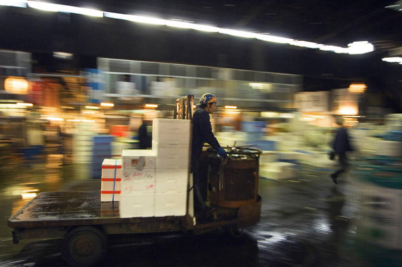 东方人,司机,横图,运动模糊,旅游,东京,日本,亚洲,行人,游客,游人,日本文化,推车,市场,首都,货摊,鱼类,路人,旅客,社区,运输,摄影,购买,清新,驾车,贩卖,东亚,本州,过客,筑地市场,海产,彩图,旅行,鱼市,名声