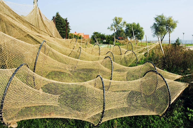 无人,横图,室外,欧洲,网,乡村,历史,摄影,国家公园,立陶宛共和国,烘干,彩图,钓鱼,波罗的海三国,联合国教科文组织