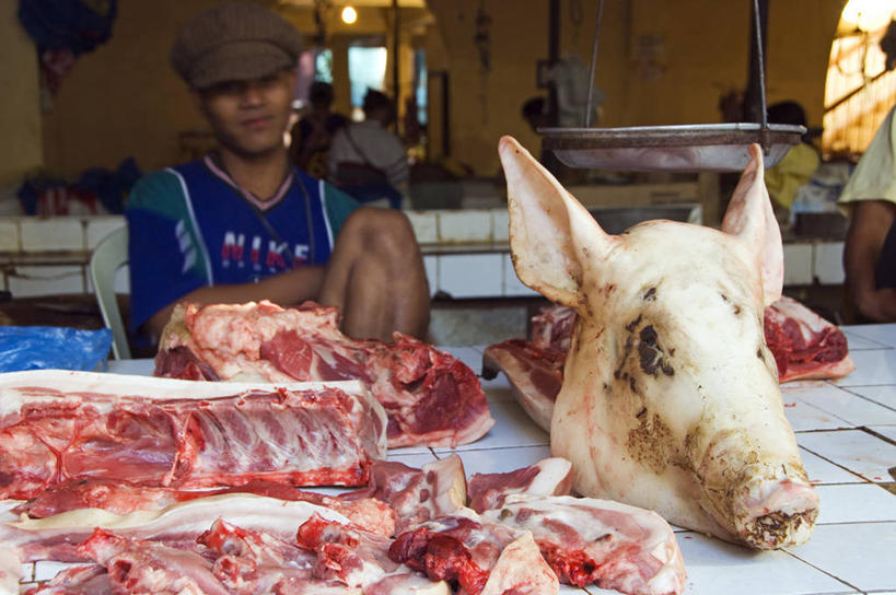 成年人,头,一个人,横图,购物,消费,猪,菲律宾,亚洲,仅一个男性,肉,市场,货摊,猪肉,动物,社区,人体,摄影,东南亚,清新,贸易,吕宋岛,男人,头部,商人,彩图,传统文化,递送