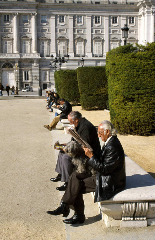 成年人,老年人,广场,宫殿,竖图,城市,狗,报纸,西班牙,欧洲,长椅,首都,宏伟,座位,社区,马德里,放松,读书,摄影,南欧,皇室,西班牙王国,马德里自治区,树篱,马德里皇宫,老年男性,男人,男性,彩图,东方广场