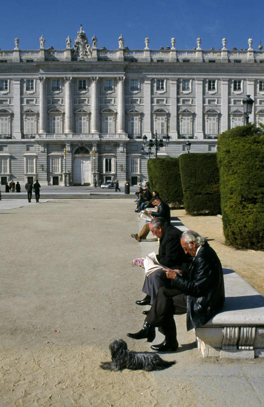 成年人,老年人,广场,宫殿,竖图,城市,狗,报纸,西班牙,欧洲,首都,宏伟,座位,社区,马德里,放松,读书,摄影,南欧,皇室,西班牙王国,马德里自治区,树篱,马德里皇宫,老年男性,男人,男性,彩图,东方广场