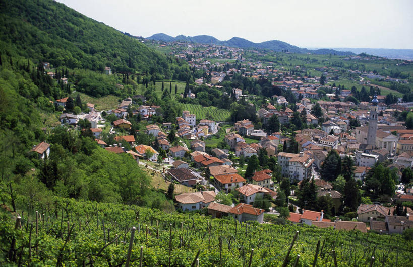 无人,横图,室外,农业,山,意大利,欧洲,乡村,城镇,葡萄园,藤蔓,摄影,威尼托大区,藤蔓植物,彩图