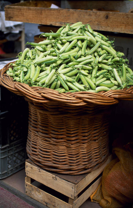 无人,竖图,商务,植物,蔬菜,葡萄牙,欧洲,篮子,豆类,豆子,豌豆,食品,市场,荷兰豆,大西洋,摄影,雪豆,豆科,伊比利亚半岛,寒豆,毕豆,麻累,国豆,小寒豆,麦豌豆,丰沙尔,马德拉群岛,大西洋群岛,彩图