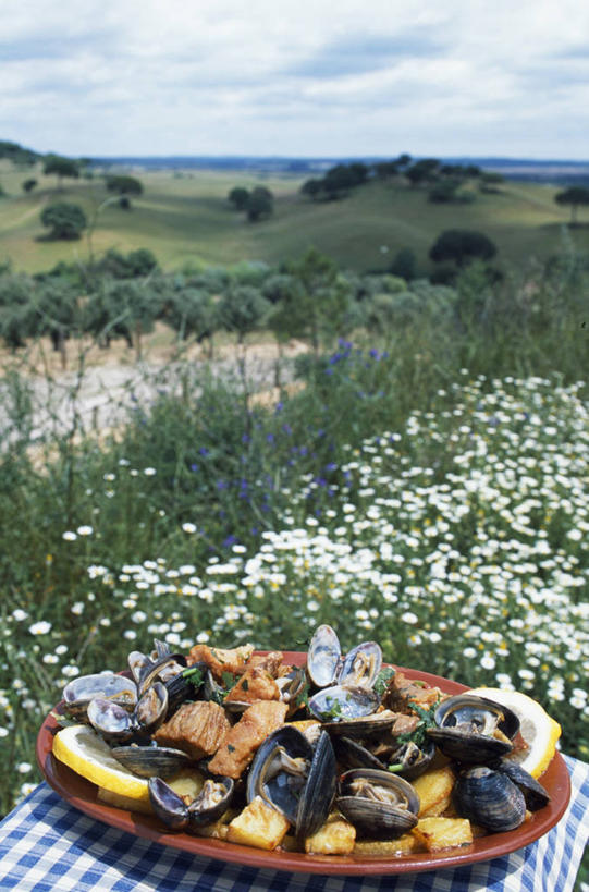 无人,竖图,葡萄牙,欧洲,食品,野花,猪肉,饮食,摄影,伊比利亚半岛,圣塔伦,阿连特茹,海产,彩图,传统文化