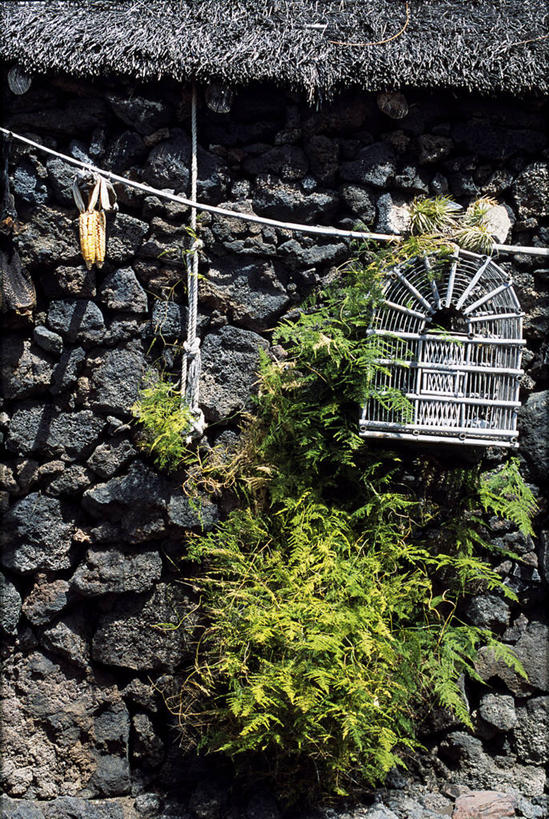 无人,家,竖图,玉米,西班牙,欧洲,吊挂,悬挂,房屋,墙,鸟笼,挂,摄影,柳条,加那利群岛,耶罗岛,大西洋群岛,彩图,传统文化