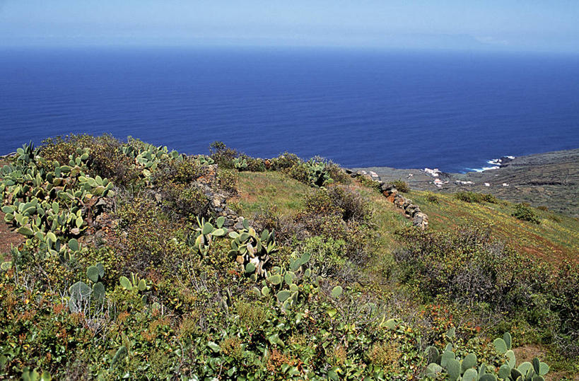 无人,横图,室外,海洋,仙人球,仙人掌,西班牙,欧洲,地形,海岸线,大西洋,摄影,地中海文化,加那利群岛,耶罗岛,大西洋群岛,海滩,彩图