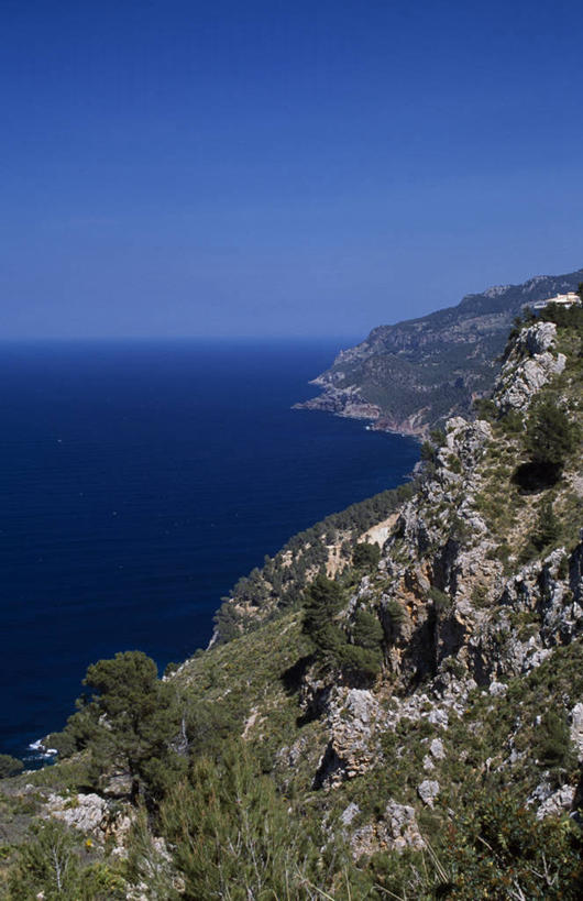 无人,竖图,室外,海洋,松树,西班牙,欧洲,地形,海岸线,悬崖,摄影,地中海文化,马略卡,海滩,彩图