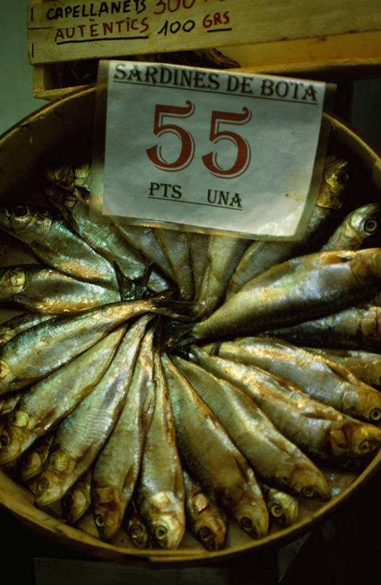 无人,竖图,渔业,西班牙,欧洲,小贩,食品,市场,货摊,鱼类,摄影,价格标签,腌制食品,巴伦西亚省,海产,彩图