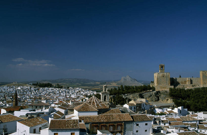 无人,横图,天线,建筑,西班牙,欧洲,城堡,房屋,屋顶,地形,城镇,摄影,安达路西亚,安特克拉,彩图