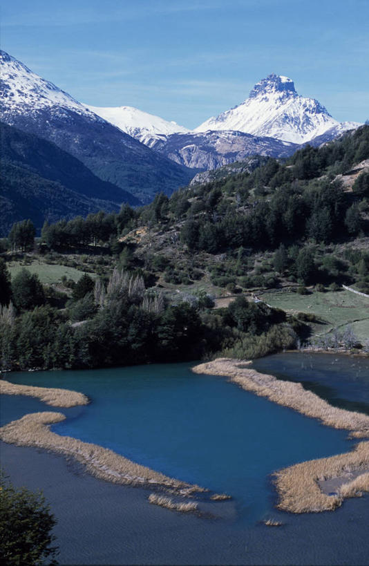 无人,竖图,室外,河流,山,树林,水,雪,雪山,智利,地形,山谷,树,南美,摄影,拉丁美洲,彩图,山景城