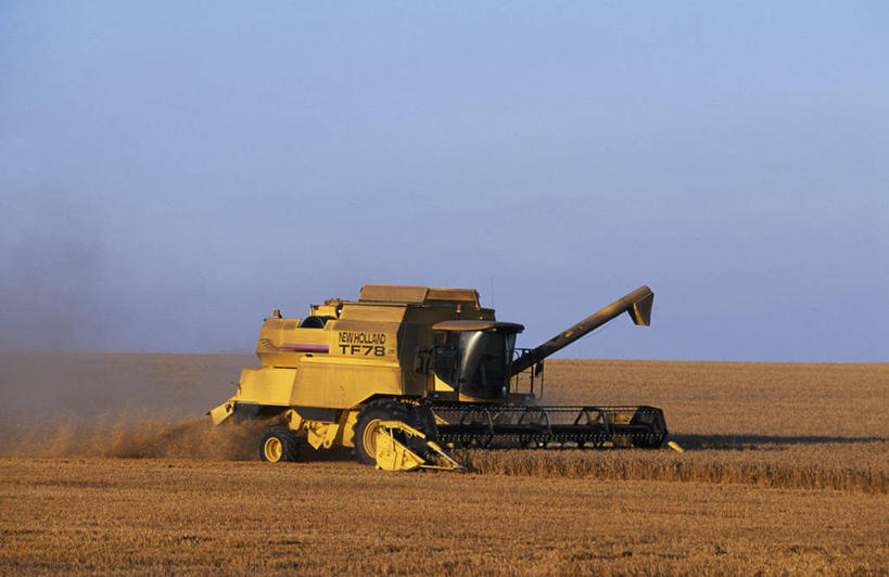 无人,农场,横图,室外,农业,农作物,小麦,英国,欧洲,田地,谷类,英格兰,黄色,夏天,摄影,收获,农具,耕具,彩图