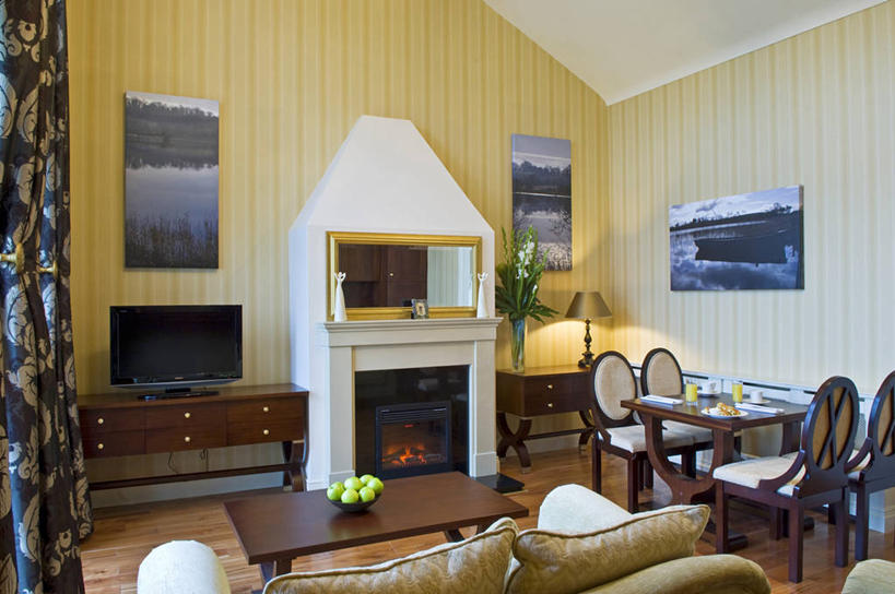 无人,横图,室内,壁炉,沙发,酒店,火,英国,北爱尔兰,摄影,起居室,作画,电视机,彩图,弗马纳区,厄恩湖