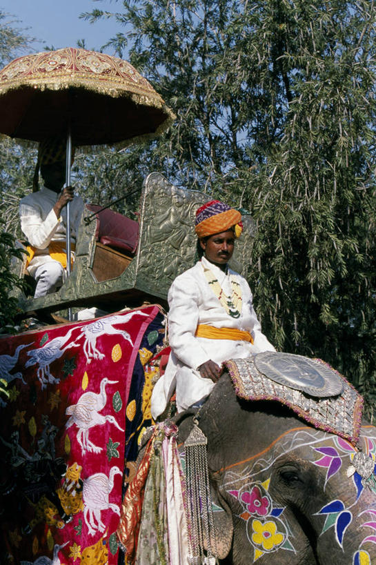 成年人,一个人,宫殿,竖图,彩色,运动,印度,仅一个男性,裁判,装饰,头巾,摄影,五颜六色,明亮,色彩斑斓,作画,五彩缤纷,亚洲象,马球,拉贾斯坦邦,五彩斑斓,斋普尔,五光十色,男人,象,彩图,传统文化