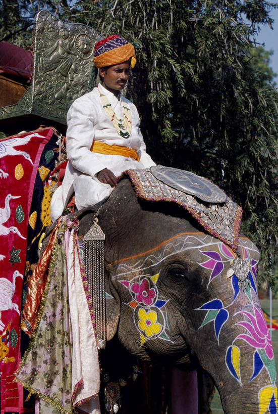 成年人,一个人,宫殿,竖图,彩色,运动,印度,仅一个男性,裁判,装饰,头巾,摄影,五颜六色,明亮,色彩斑斓,作画,五彩缤纷,亚洲象,马球,拉贾斯坦邦,五彩斑斓,斋普尔,五光十色,男人,象,彩图,传统文化