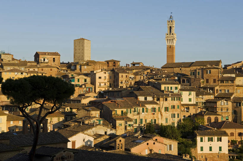 无人,广场,教堂,横图,室外,度假,美景,城市风光,城市,建筑,意大利,欧洲,房屋,景观,城镇,塔,娱乐,树,享受,休闲,景色,放松,摄影,宗教,住房,锡耶纳,托斯卡纳区,曼贾塔钟楼,彩图,大教堂,传统文化