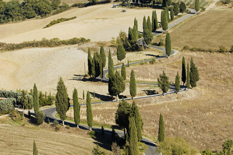 无人,横图,室外,风,路,柏树,意大利,欧洲,弯腰,弯曲,地形,树,摄影,托斯卡纳区,维得斯卡,皮恩札,针叶树,彩图,丝柏