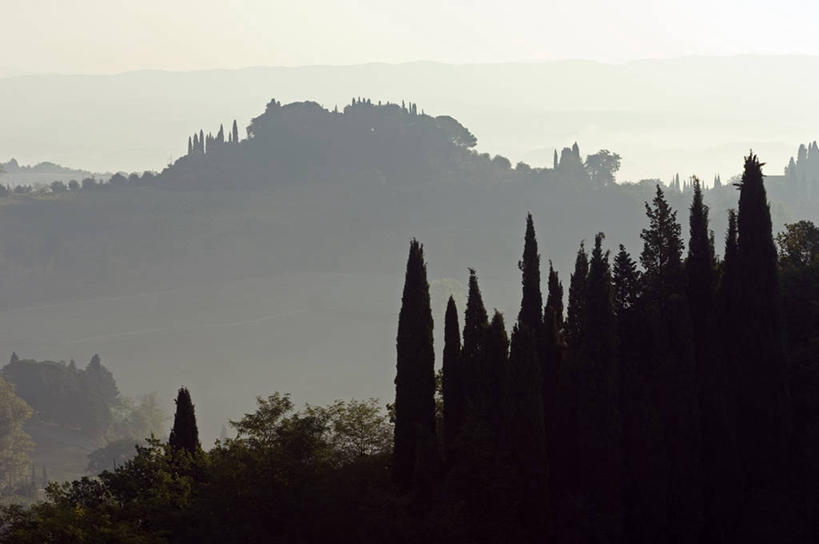 无人,横图,室外,美景,山,山脉,柏树,意大利,欧洲,地形,景观,树,自然,景色,摄影,山脊,托斯卡纳,南欧,自然风光,剪影,托斯卡纳区,圣吉米尼亚诺,意大利共和国,托斯卡纳大区,奇扬第,针叶树,彩图,丝柏