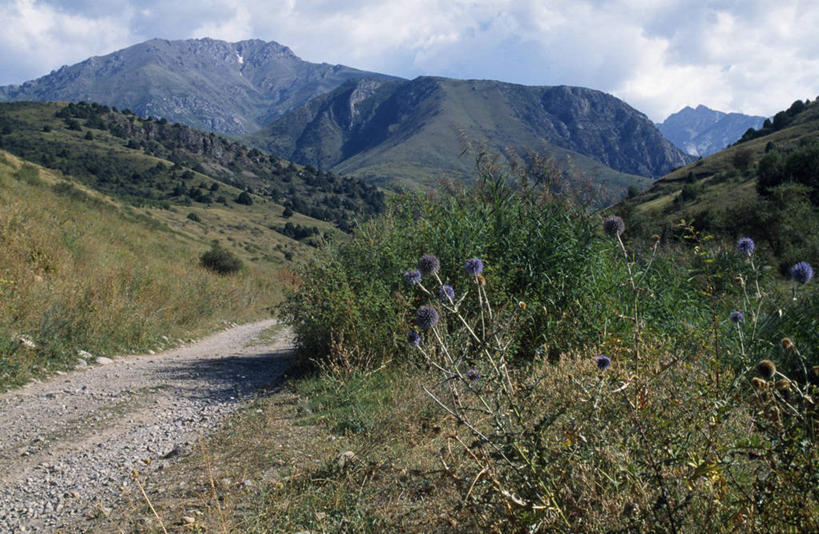 无人,横图,室外,山,山脉,哈萨克斯坦,亚洲,地形,山谷,摄影,中亚,天山山脉,彩图,山景城