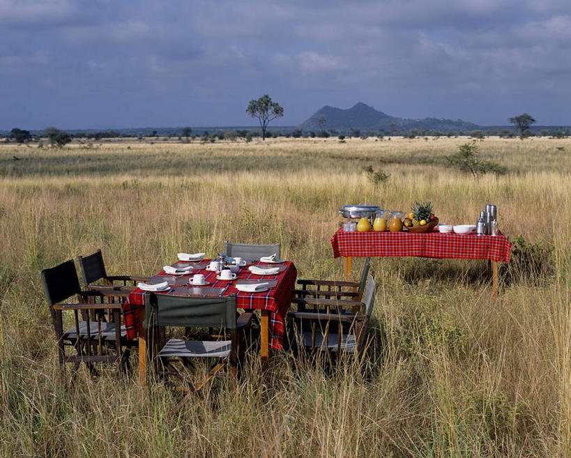 服务员,吃,横图,室外,度假,早餐,餐桌,椅子,非洲,肯尼亚,桌布,平原,摄影,老板椅,服务生,侍者,彩图