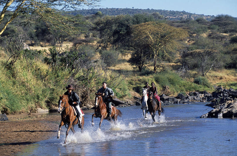 跑,横图,室外,旅游,度假,马,非洲,肯尼亚,行人,游客,游人,娱乐,路人,旅客,享受,休闲,放松,摄影,迅速,小马,黑客,过客,冒险,彩图
