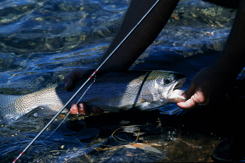 横图,室外,旅游,度假,湖,鳟鱼,非洲,肯尼亚,行人,游客,游人,地形,鱼类,路人,旅客,蓝色,摄影,宁静,虹鳟鱼,肯尼亚山,过客,钓竿,休闲活动,彩图,钓鱼