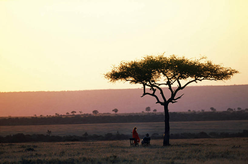 成年人,横图,室外,度假,日落,肯尼亚,一对,浪漫,饮食,树,自然,黄昏,橙色,放松,摄影,宁静,剪影,蜜月,异性恋,男人,女人,彩图,马赛马拉国家保护区,伴侣