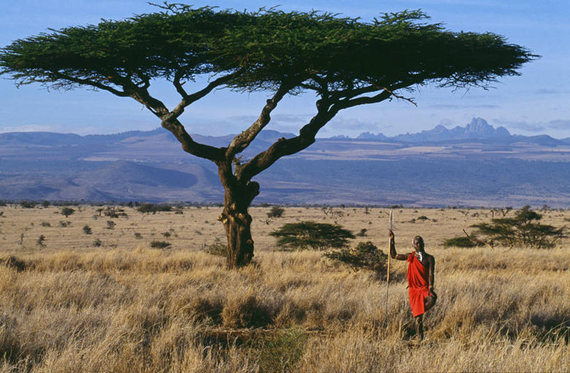 成年人,一个人,站,横图,室外,白天,快乐,山,项链,肯尼亚,仅一个男性,拿着,风景,自然,平原,摄影,宁静,矛,金合欢,鸭皂树,稍纵即逝,肯尼亚山,金合欢树,男人,彩图,传统服装,传统文化,马赛人