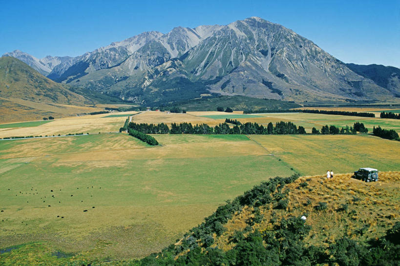 无人,农场,横图,室外,农业,山,山脉,新西兰,地形,高原,田地,树,风景,摄影,新西兰南岛,彩图