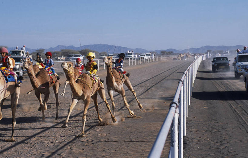 横图,锻炼,快乐,比赛,运动,竞争,沙漠,阿曼,娱乐,休闲,摄影,活动,迅速,灰尘,体育运动,四驱车,波斯湾,体育,彩图,健身,径赛,皮卡车,贝多因人