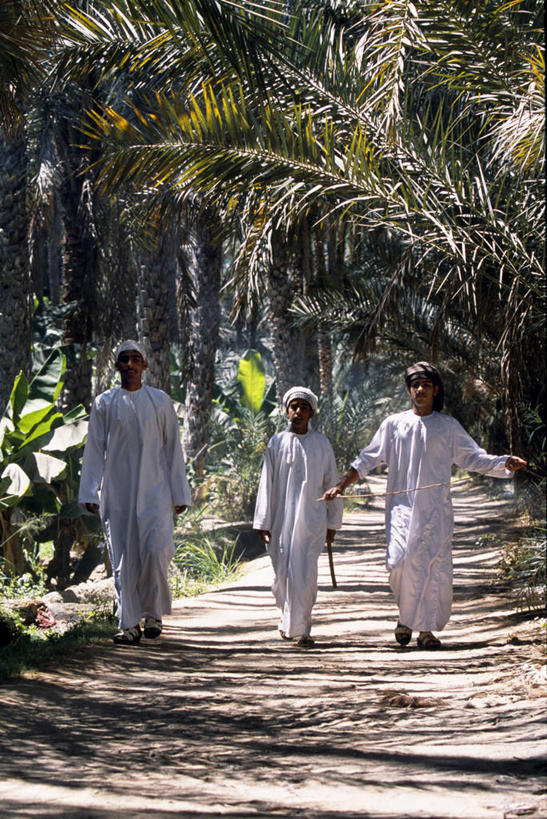 儿童,三个人,人群,竖图,纯洁,沙漠,阿曼,树,可爱,童年,童趣,摄影,绿洲,童真,波斯湾,枣椰子,烂漫,无邪,海枣树,天真,男孩,中东人,彩图