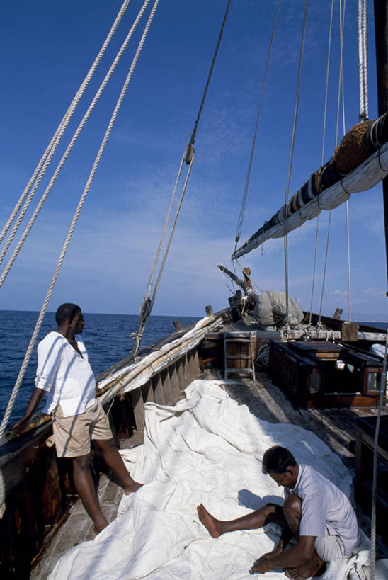 成年人,竖图,海洋,船,阿曼,游艇,绳子,社区,乘务员,帆,摄影,块状,航海,印度洋,客船,波斯湾,滑车,男人,彩图,传动装置