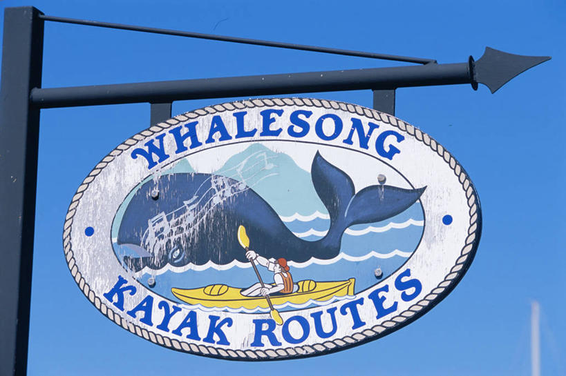 无人,商店,横图,室外,非洲,南非,牌子,极限运动,招牌,布告栏,摄影,鲸,独木舟,西蒙斯敦,忠告,彩图,开普半岛,店标,皮船