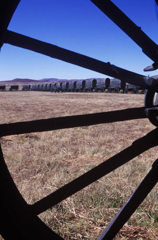 无人,竖图,室外,马,非洲,南非,地形,车轮,地标建筑,平原,战争,运输,摄影,纪念,留念,怀念,阿非利加洲,南非共和国,夸祖鲁.纳塔尔省,战场,彩图,篷车