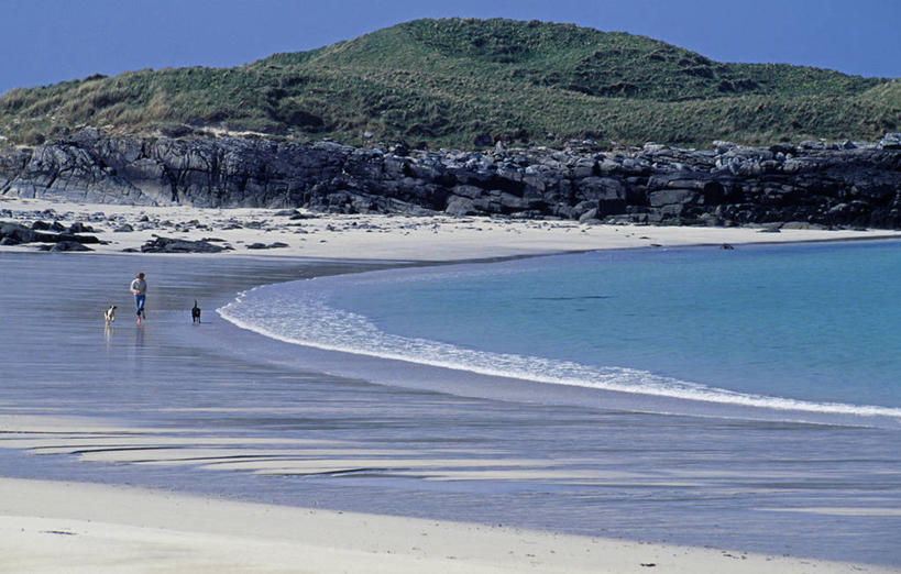 儿童,一个人,运动员,跑,横图,室外,度假,纯洁,狗,仅一个女性,仅一个人,沙子,苏格兰,小孩,仅一个小孩,可爱,童年,童趣,摄影,退潮,童真,烂漫,无邪,慢跑,潮汐,外赫布里底群岛,天真,女孩,女人,女性,孩子,海滩,彩图,斯普林斯班尼犬,女生