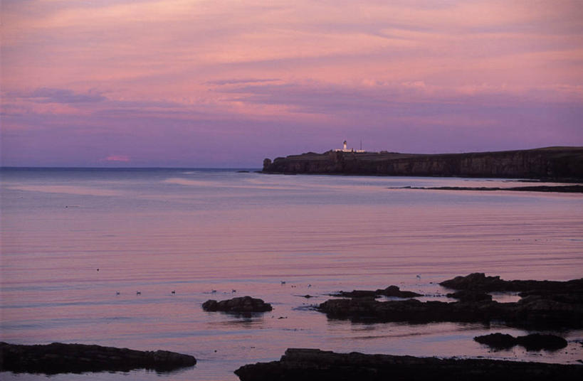 无人,横图,室外,日落,城堡,地形,海岸线,悬崖,苏格兰,粉色,自然,黄昏,摄影,海景,北海,海滩,彩图