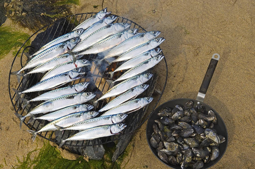 无人,横图,室外,度假,烧烤,图案,图形,海岸线,食品,几何,菱形,饮食,苏格兰,自然,摄影,煎锅,数学,内赫布里底群岛,外赫布里底群岛,海滩,休闲活动,海产,烹调,彩图,几何学,几何图形
