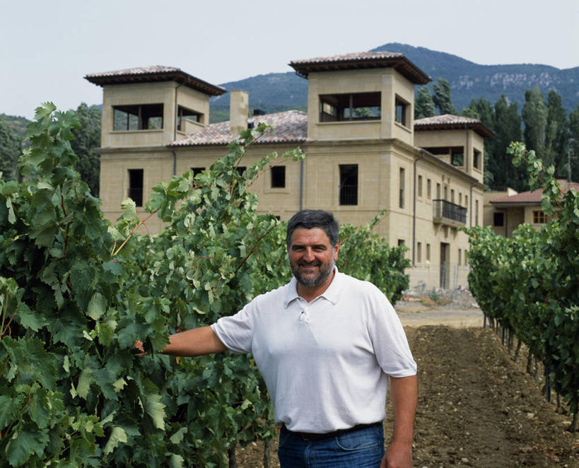葡萄酒,成年人,一个人,横图,室外,西班牙,欧洲,仅一个男性,葡萄园,藤蔓,摄影,藤蔓植物,男人,彩图